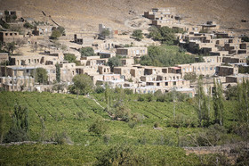 جشن انگور در روستای هزاوه اراک